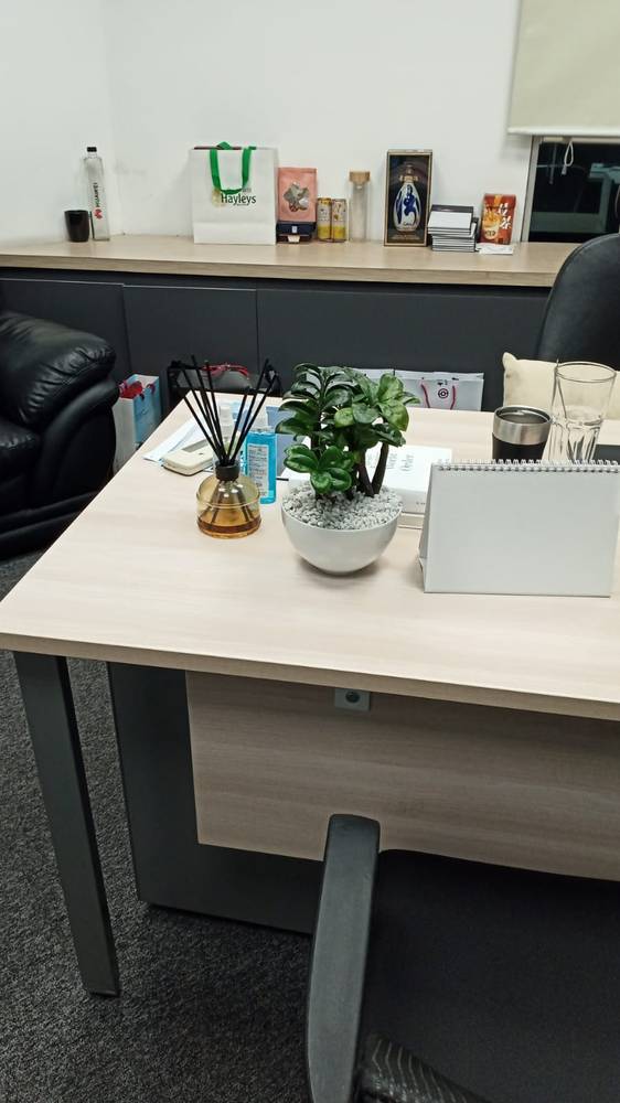 Office planting maintained by Golden Leaves