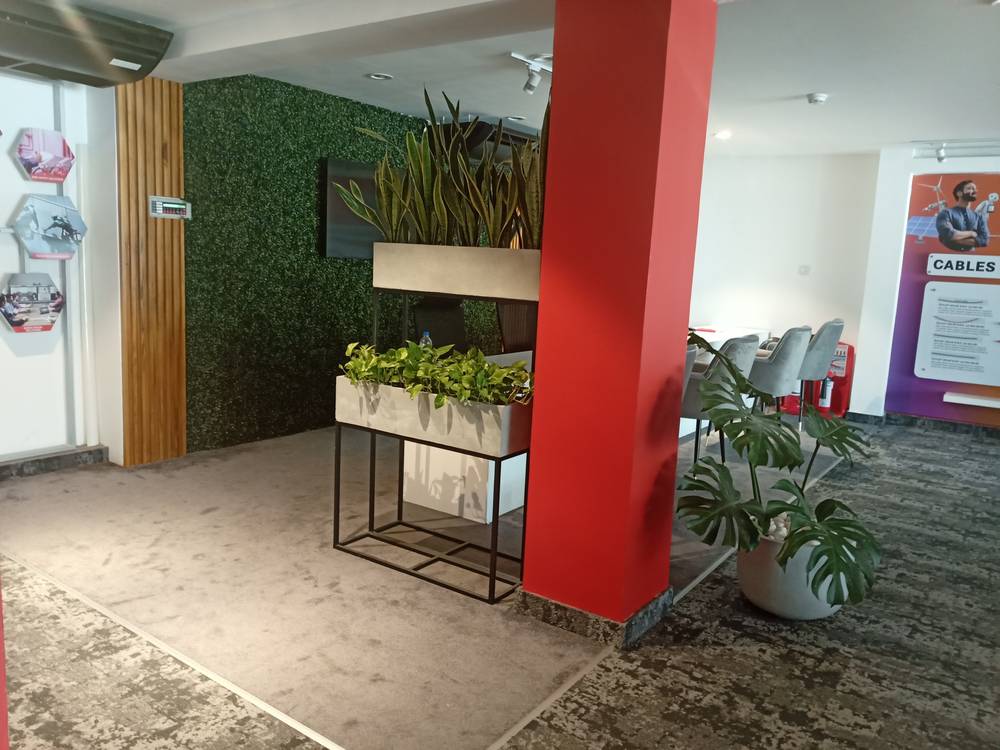 Green wall at Hayleys Experience Center