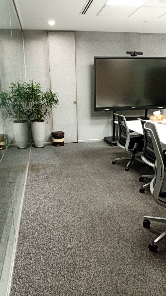 Low-maintenance plants in a Sri Lankan office