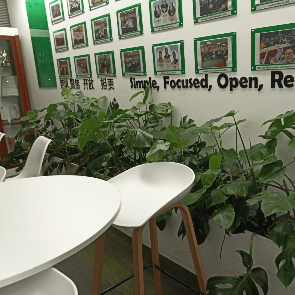 Indoor plants styled beside office furniture