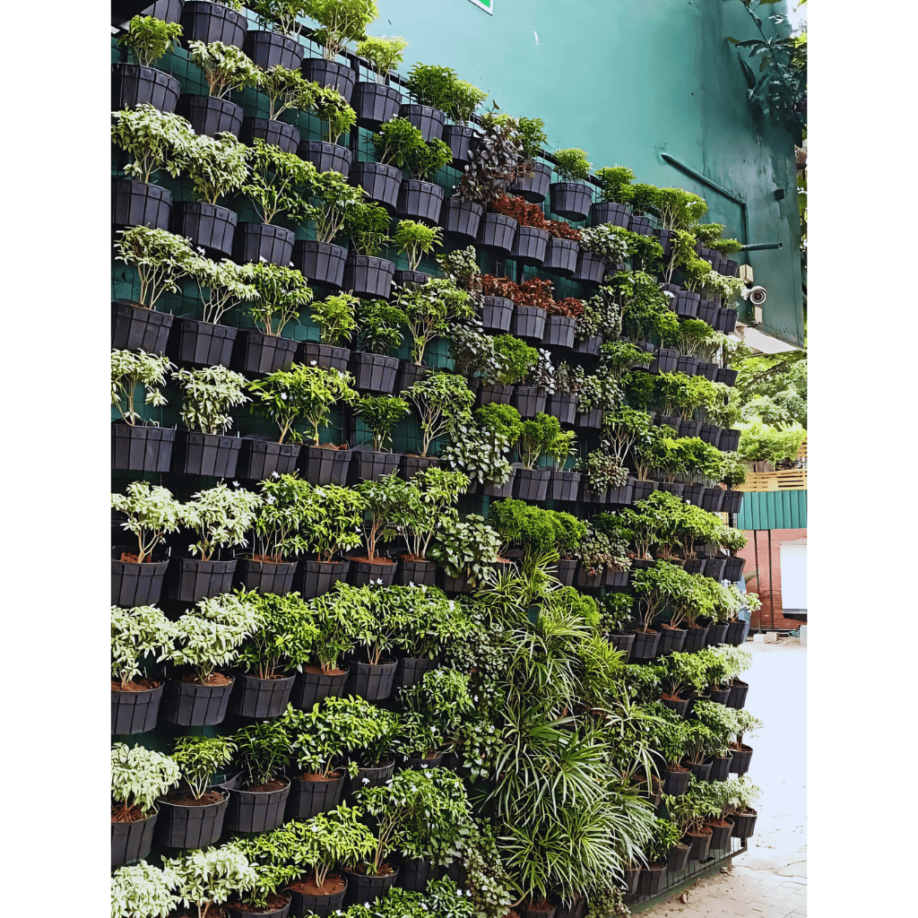 Fentons Smart Facilities — Facilities HQ plant installation by Golden Leaves