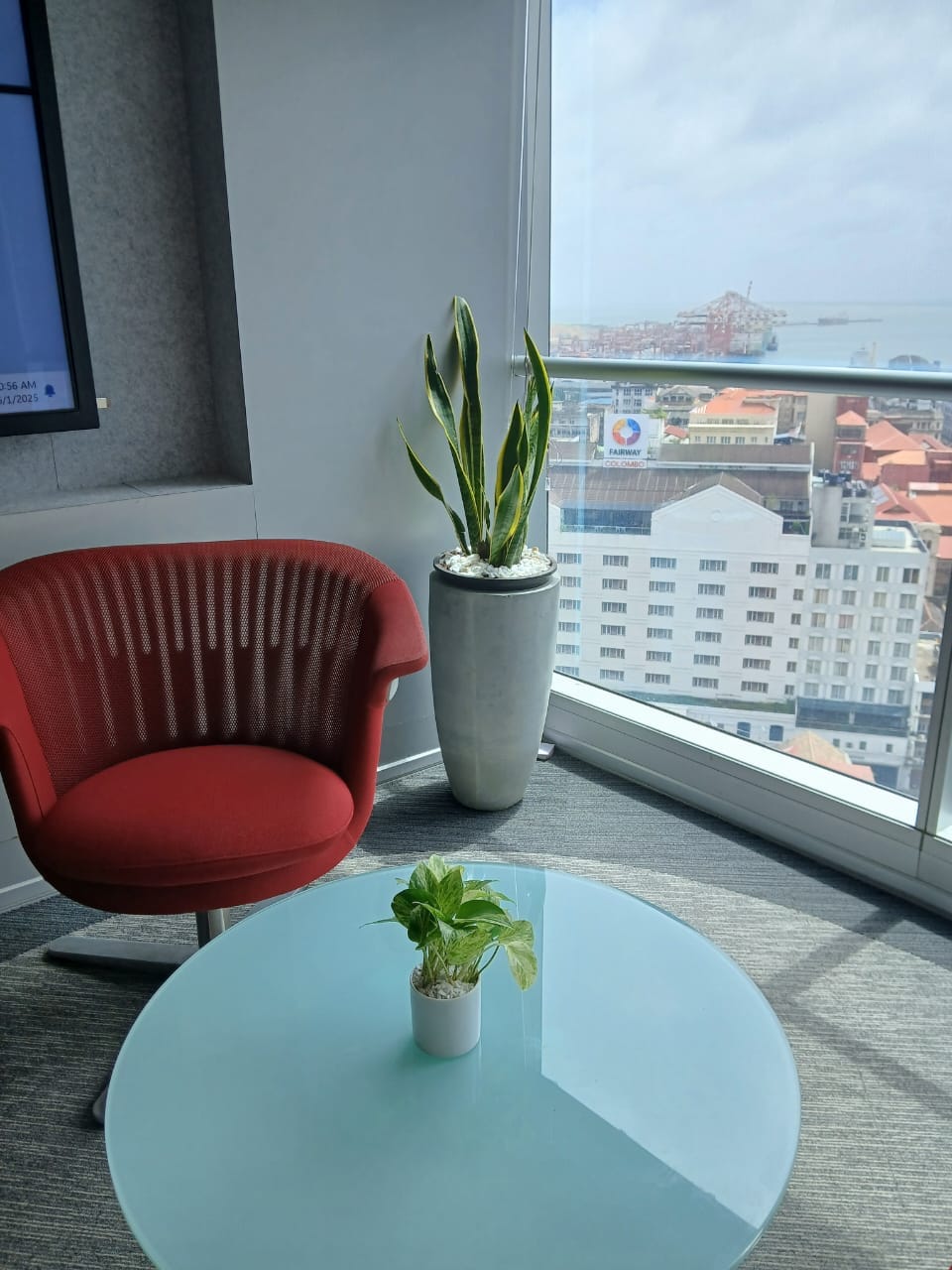 Modern office interior softened with indoor greenery