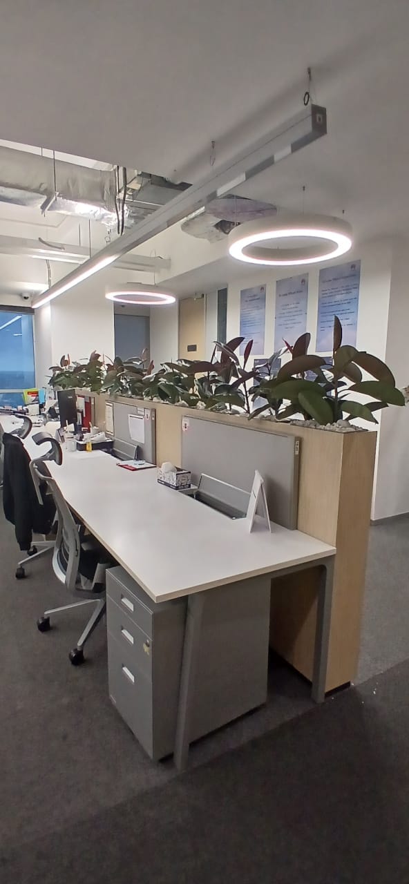 Huawei — Head Office plant installation by Golden Leaves