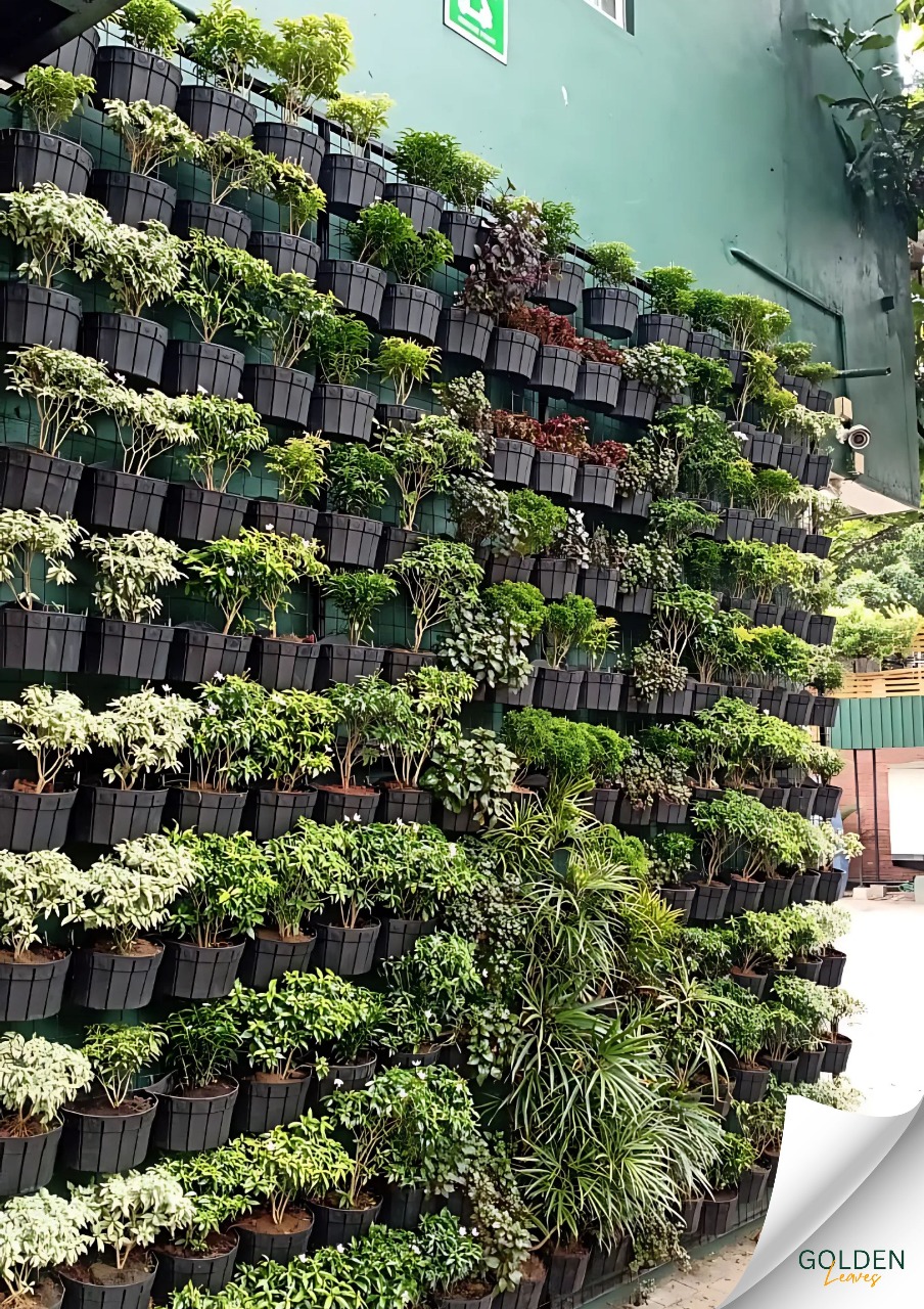 Green Walls & Custom Projects