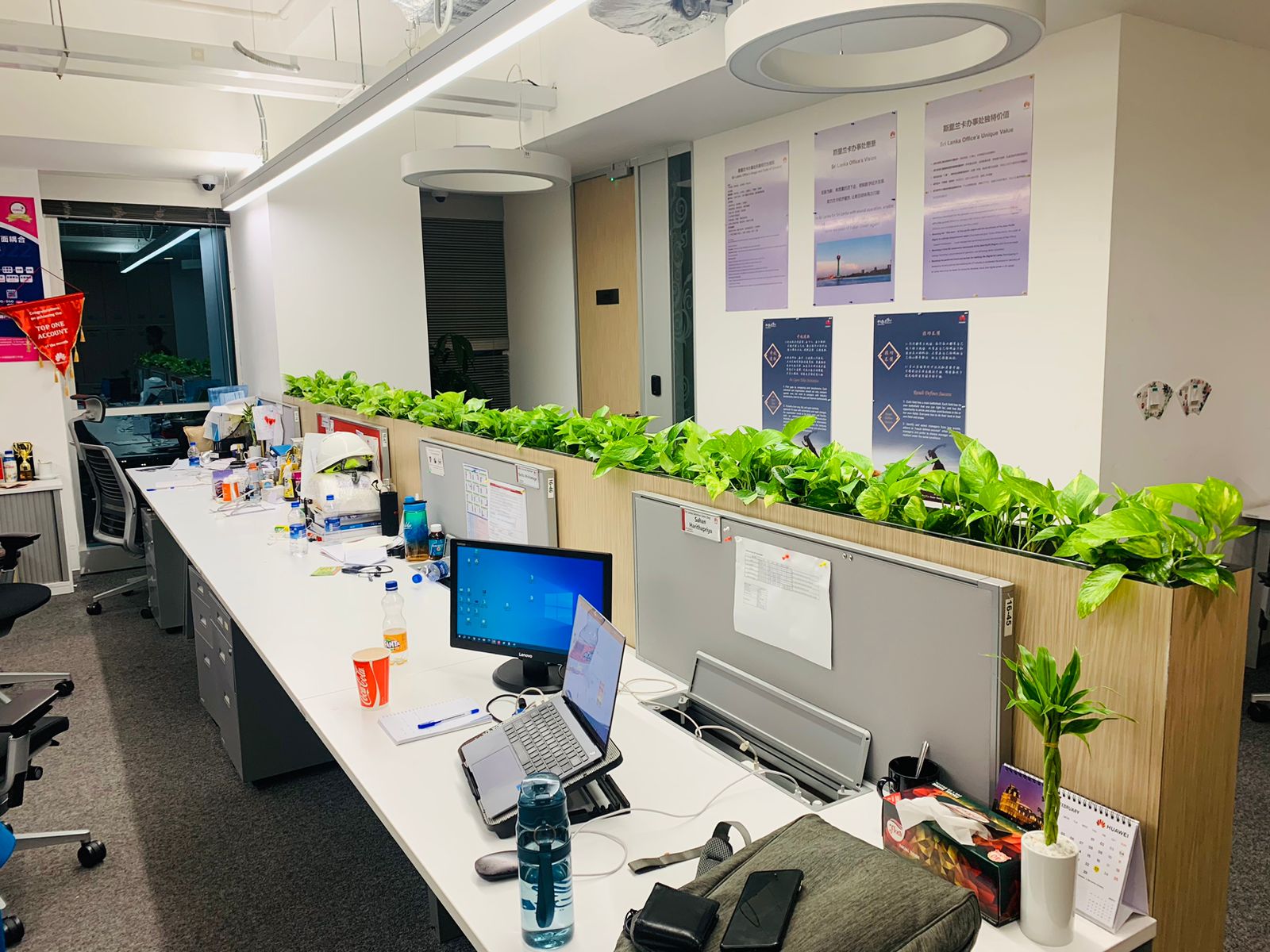 Huawei — Head Office plant installation by Golden Leaves