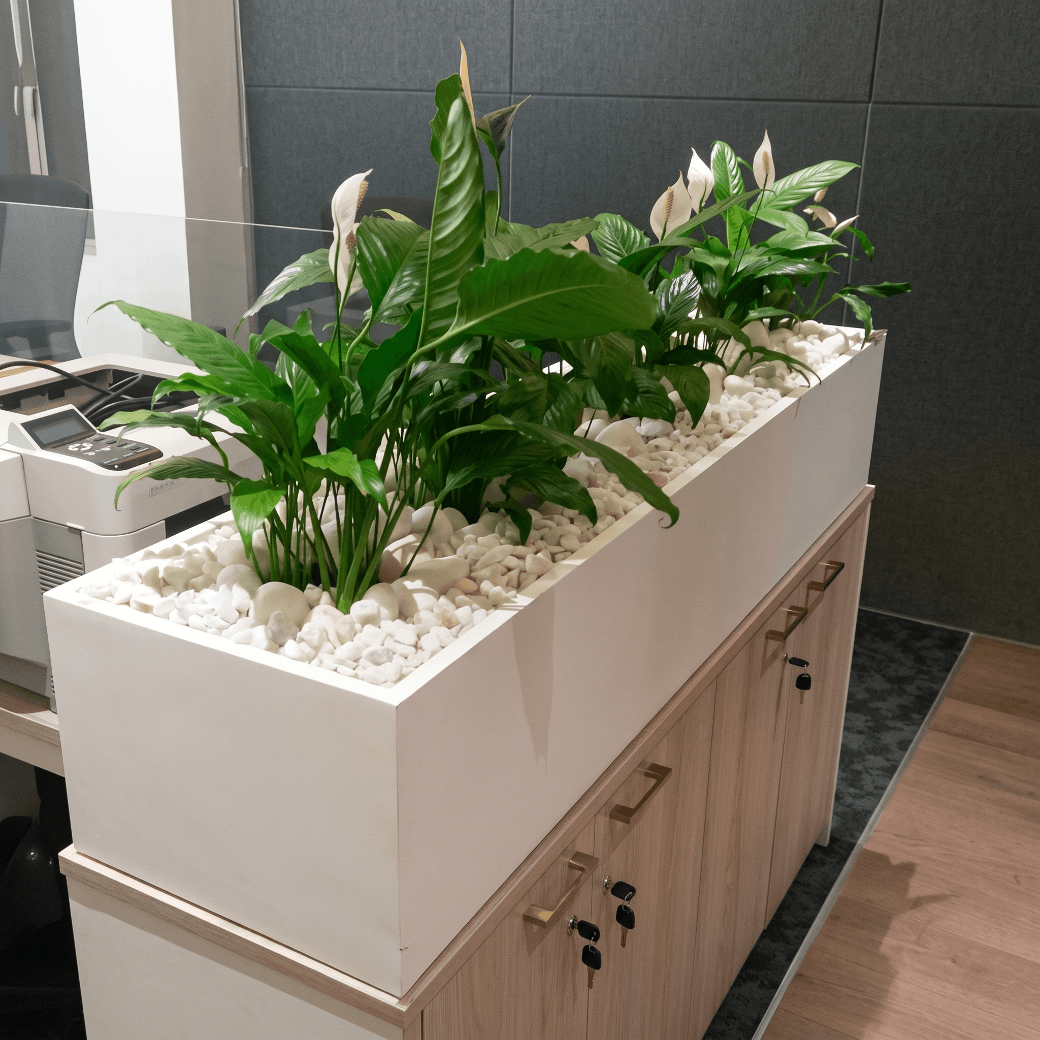 Fentons Smart Facilities — Facilities HQ plant installation by Golden Leaves