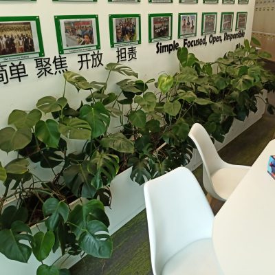 IMG-20250619-WA0130(1)