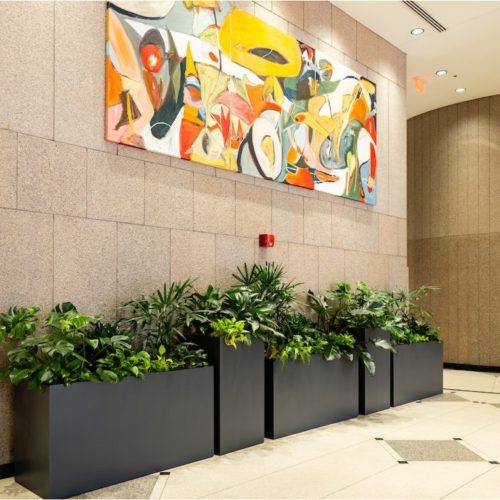 WhatsApp Image 2026-02-06 at 00.47.06