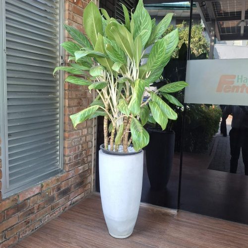 WhatsApp Image 2026-04-05 at 10.42.39