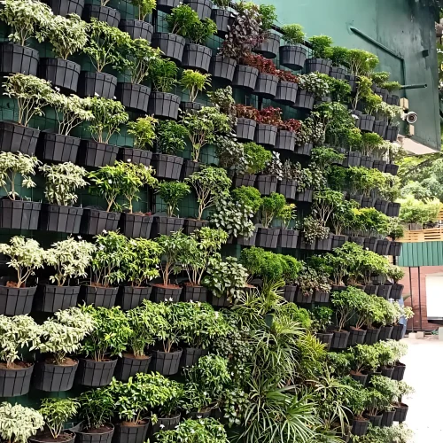 bfd086910ddc4f0fb480014f9ef33cc1