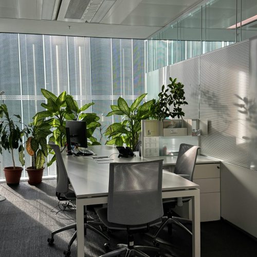 Bright, modern Milano office space with plants and natural light, perfect for productivity.